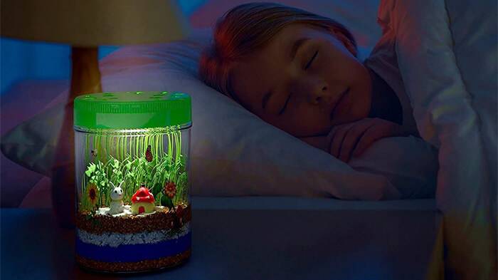 Dan & Darci - Light-Up Terrarium Kit for Kids
